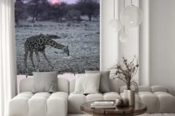 Fototapeta: Żyrafa w wodopoju okaukuejo.