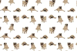 Fototapeta: Zabawne psy mops na białym tle ilustracja