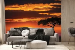 Fototapeta: Zachód słońca na spokojnym safari