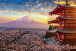 Fototapeta: Zachód słońca na tle gór i kwiatów wiśni