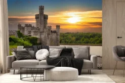 Fototapeta: Zamek blackrock w irlandii nad rzeką