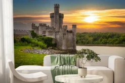 Fototapeta: Zamek blackrock w irlandii nad rzeką
