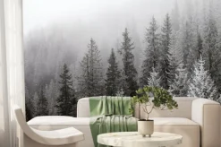Fototapeta: Zamglony zimowy las z ośnieżonymi świerkami