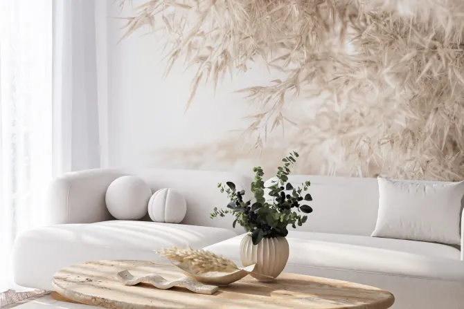 Fototapeta: Zboże pszenicy na białym tle