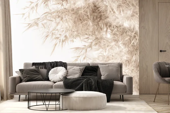 Fototapeta: Zboże pszenicy na białym tle