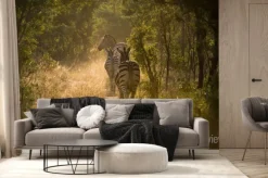 Fototapeta: Zebry auf einem ścieżka im gegenlicht