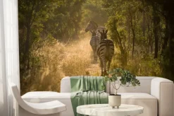 Fototapeta: Zebry auf einem ścieżka im gegenlicht