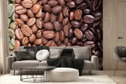 Fototapeta: Ziarna kawy collage