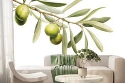 Fototapeta: Zielona gałązka oliwna na białym tle