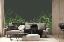 Fototapeta: Zielone gałązki oliwne na ciemnym tle