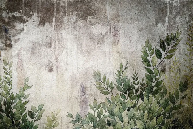 Fototapeta: Zielone liście na szarym betonie