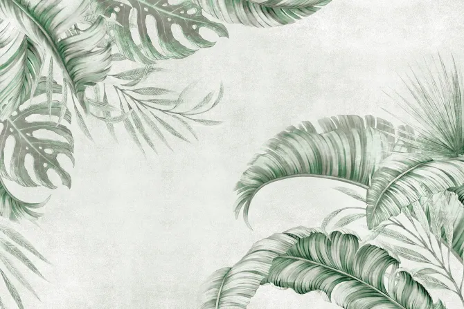 Fototapeta: Zielone liście palm i monstery