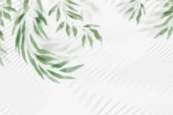 Fototapeta: Zielone liście zwisające z góry