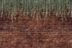 Fototapeta: Zielone rośliny zwisające na tle ceglanego muru