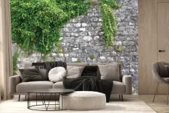 Fototapeta: Zielony bluszcz na kamiennej ścianie