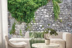 Fototapeta: Zielony bluszcz na kamiennej ścianie