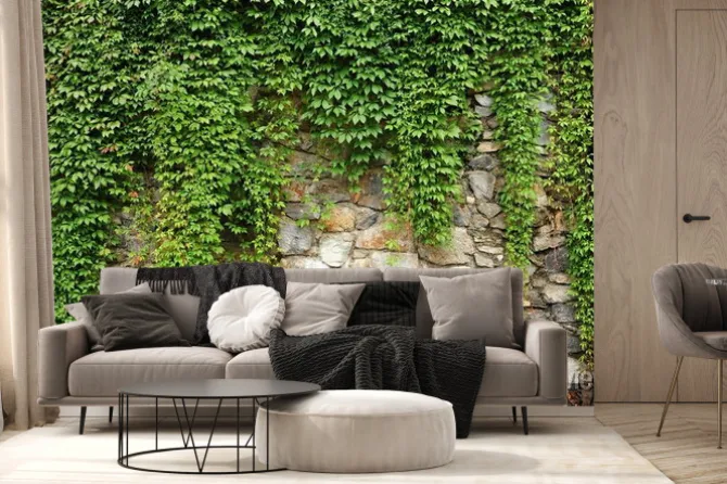 Fototapeta: Zielony bluszcz