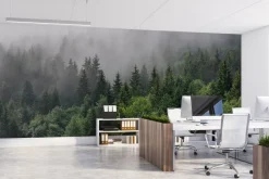 Fototapeta: Zielony górski las świerkowy spowity poranną mgłą