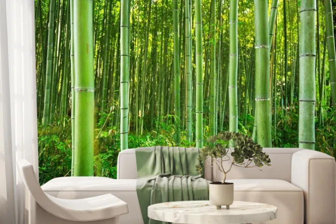 Fototapeta: Zielony las bambusowy