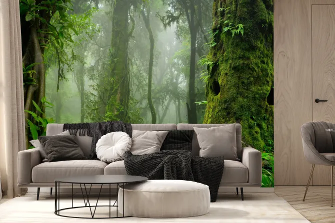 Fototapeta: Zielony las drzewa we mgle