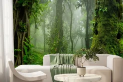 Fototapeta: Zielony las drzewa we mgle
