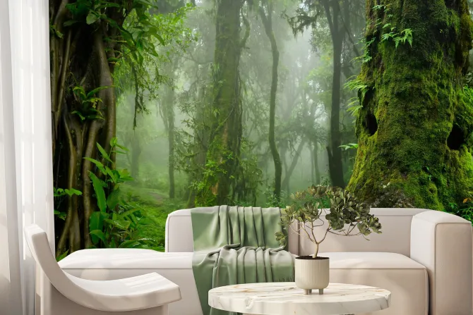 Fototapeta: Zielony las drzewa we mgle