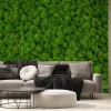 Fototapeta: Zielony mech dekoracyjny