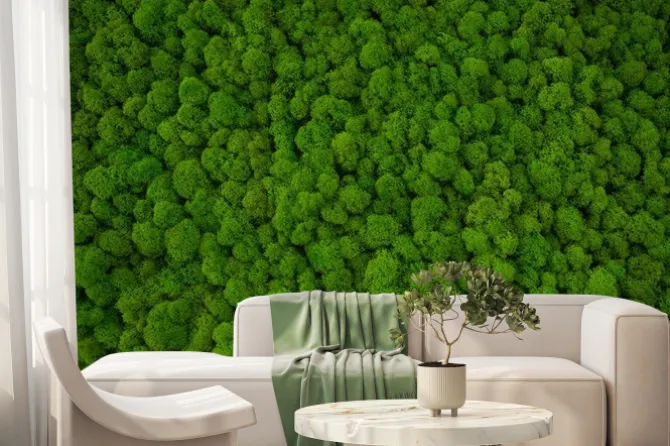 Fototapeta: Zielony mech dekoracyjny