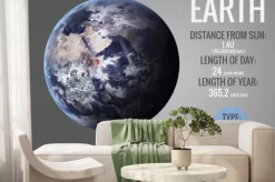 Fototapeta: Ziemia - infograficzna prezentuje jedną z planet układu słonecznego