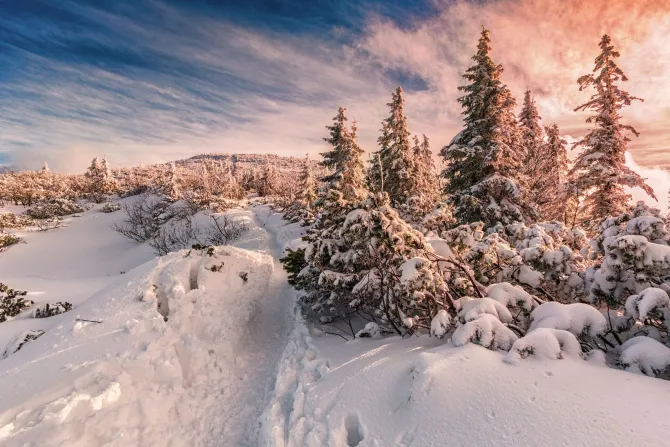 Fototapeta: Zimowy zachód słońca na beskidach