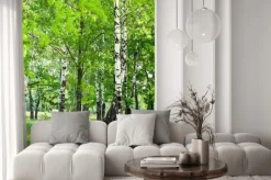 Naklejka: Берёзовая роща