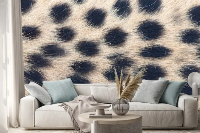 Naklejka: African cheetah