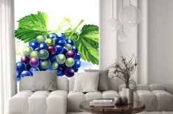 Naklejka: Akwarela kiść ciemnych winogron