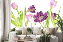 Naklejka: Akwarele purpurowe i różowe tulipany
