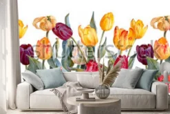 Naklejka: Akwarelowe kolorowe tulipany