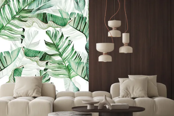 Naklejka: Akwarelowe zielone liście bananowca na białym tle