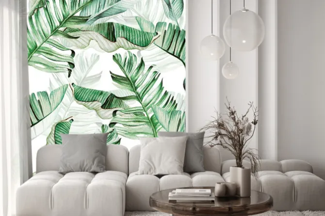 Naklejka: Akwarelowe zielone liście bananowca na białym tle