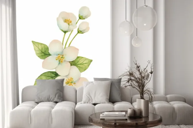 Naklejka: Akwarelowy kwiat jaśminu