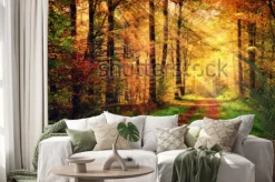 Naklejka: Autumn forest scenery with rays of warm light illumining the