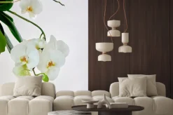 Naklejka: Białe storczyki na tle jasnej ściany