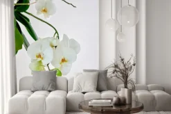 Naklejka: Białe storczyki na tle jasnej ściany