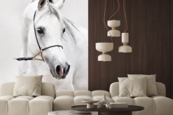 Naklejka: Biały koń arabski na jasnym tle