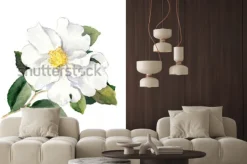 Naklejka: Biały kwiat. akwarela ilustracja botaniczna