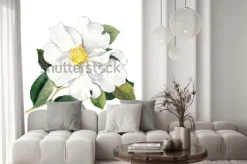 Naklejka: Biały kwiat. akwarela ilustracja botaniczna