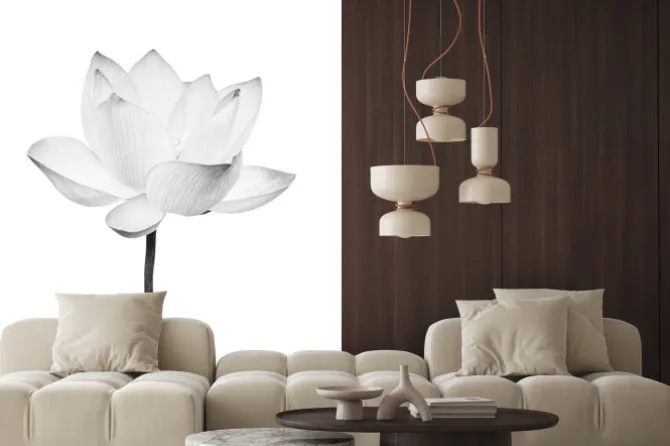 Naklejka: Black and white lotus flower isolated on white background. file