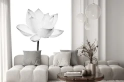 Naklejka: Black and white lotus flower isolated on white background. file