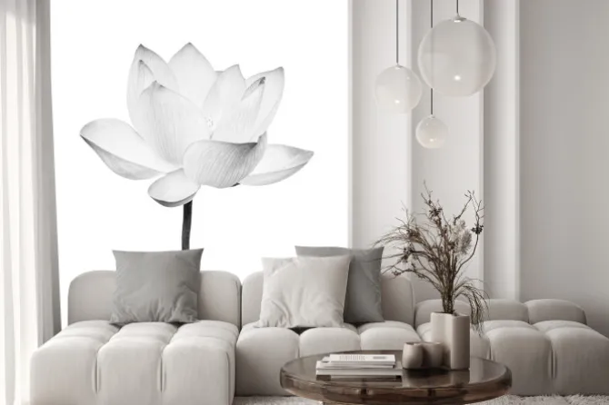 Naklejka: Black and white lotus flower isolated on white background. file