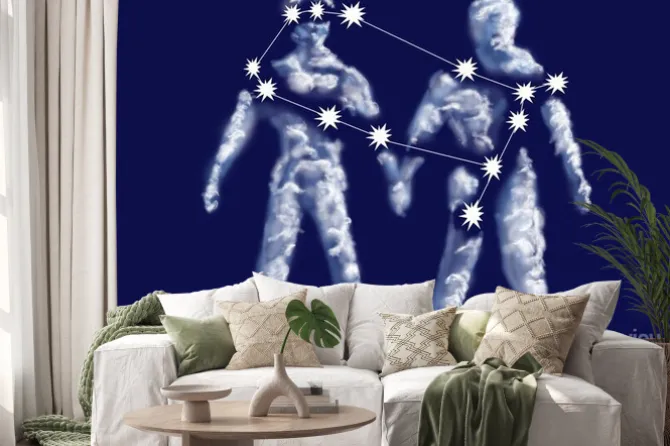 Naklejka: Bliźnięta