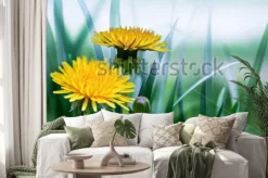 Naklejka: Bright spring natural background with dandelions
