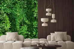 Naklejka: Bujne zielone rośliny liściaste